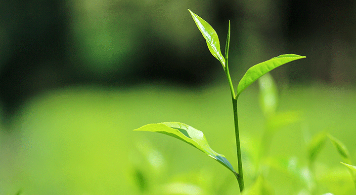 metal recycling preserves natural resources